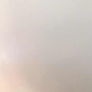 Meet your Posher, Trisha